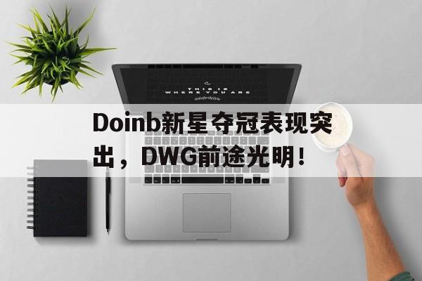 Doinb新星夺冠表现突出，DWG前途光明！